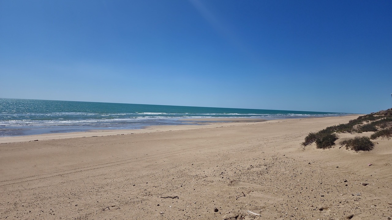 Photo of Others in Puerto Penasco