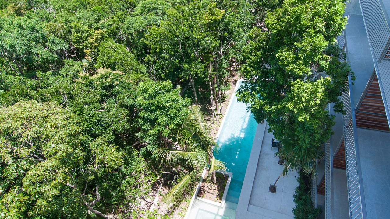 Photo of Outdoor in Akumal