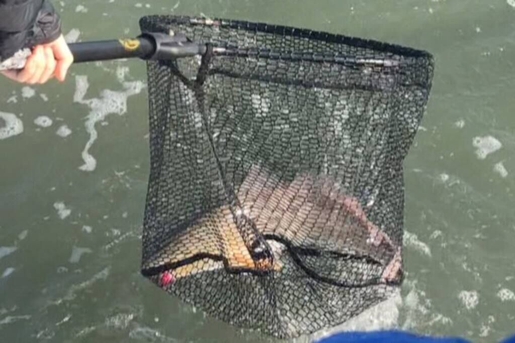 Photo of Others in Rio Hondo
