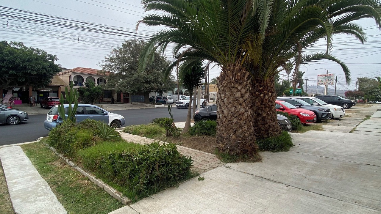 Photo of Outdoor in Playas de Tijuana