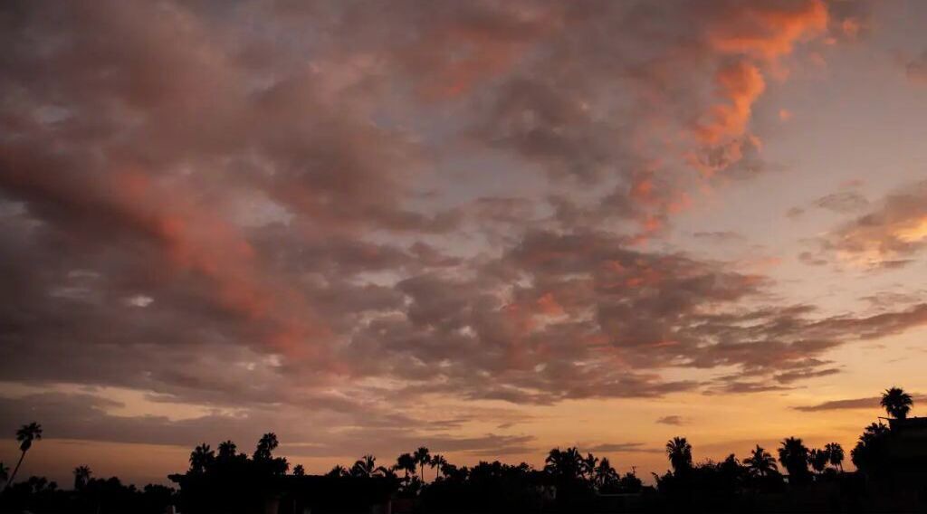 Photo of Others in Todos Santos