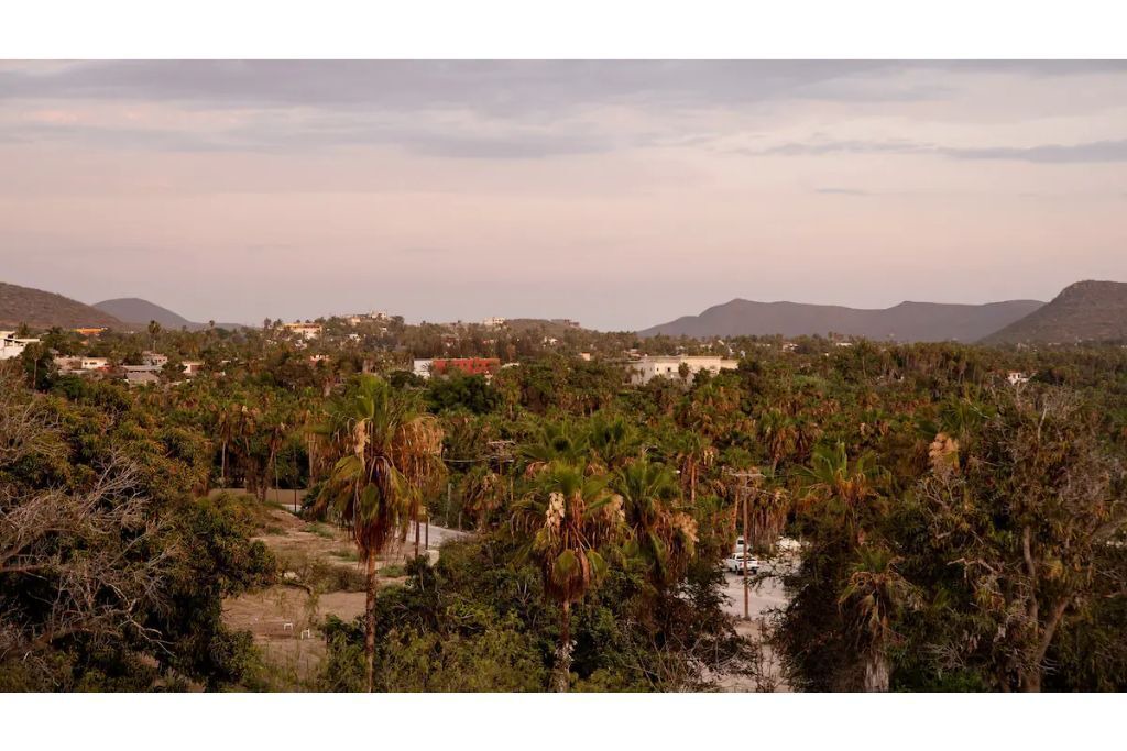 Photo of Outdoor in Todos Santos