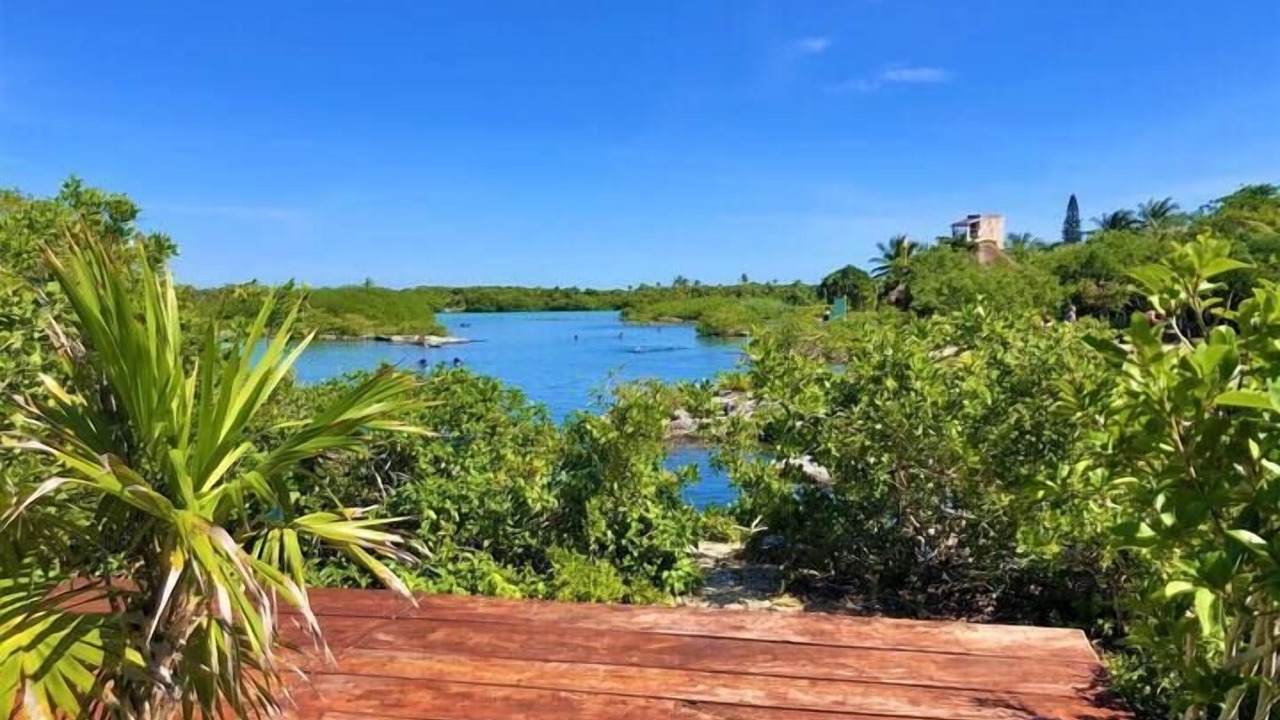 Photo of Others in Akumal