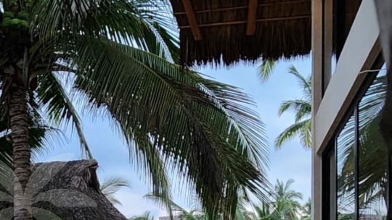 Photo of Outdoor in Boca de Iguanas
