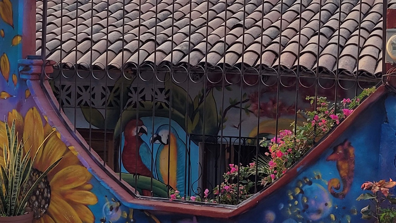 Photo of Others in Zihuatanejo