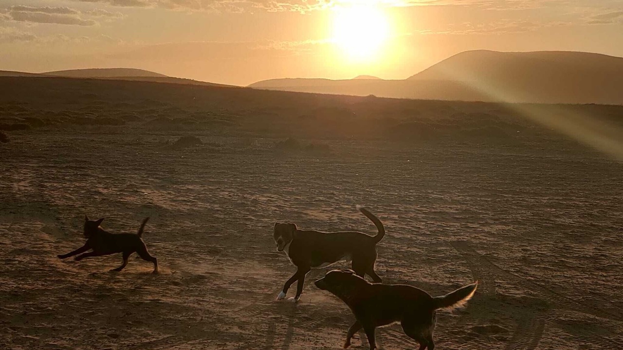 Photo of Others in San Quintin