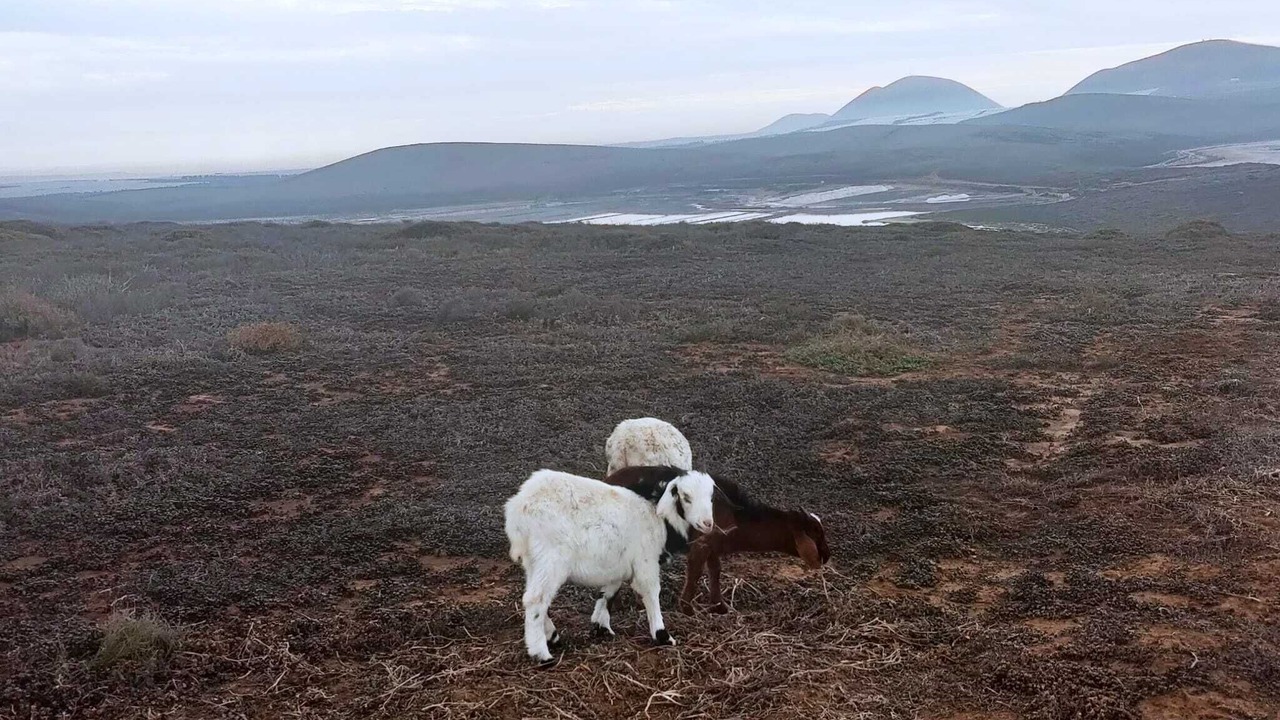 Photo of Others in San Quintin