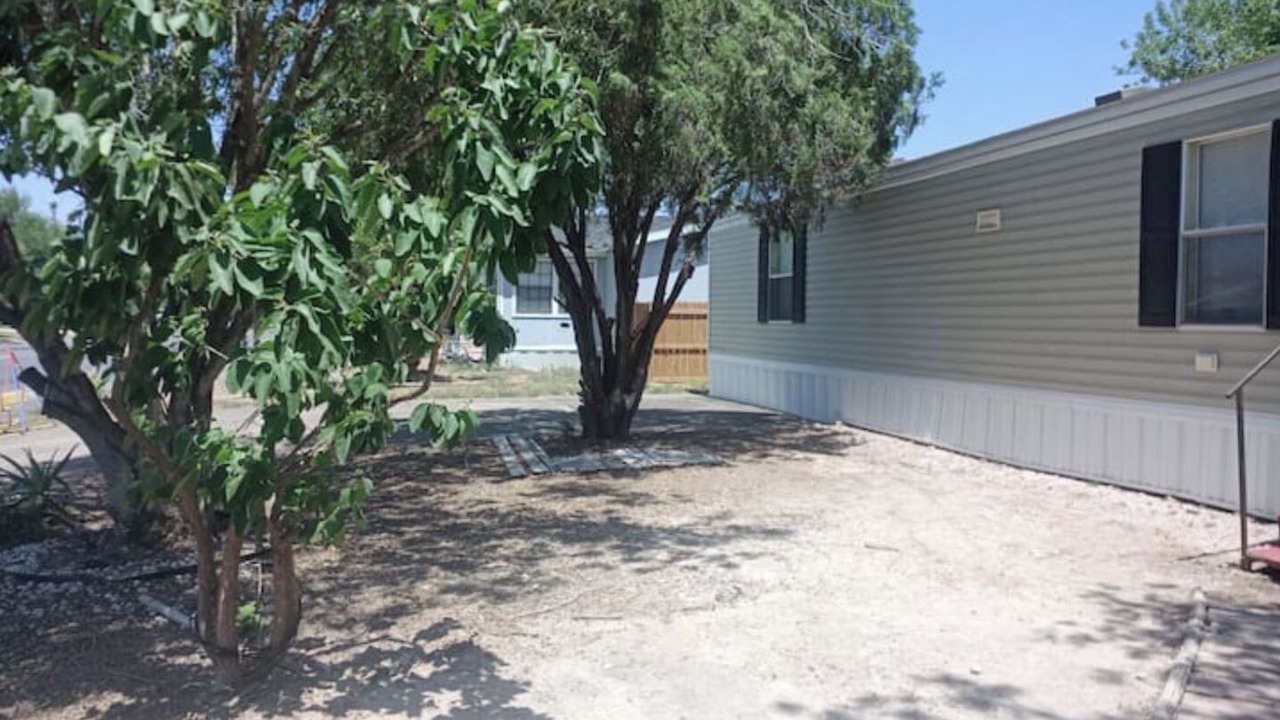 Photo of Outdoor in Pharr