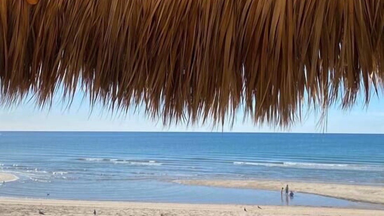 Photo of Others in Puerto Penasco
