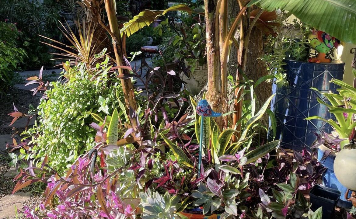 Photo of Outdoor in McAllen