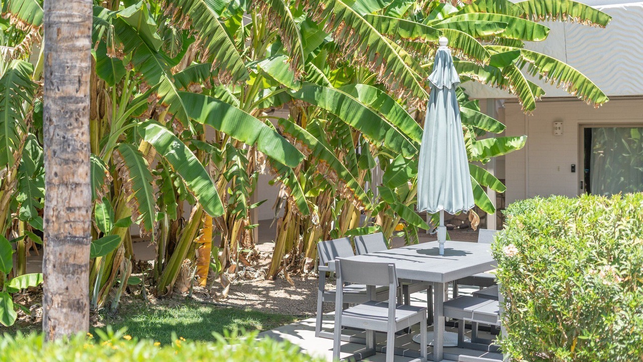 Photo of Outdoor in South Scottsdale