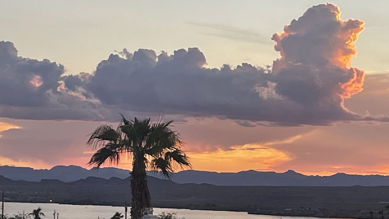 Photo of Others in Lake Havasu City