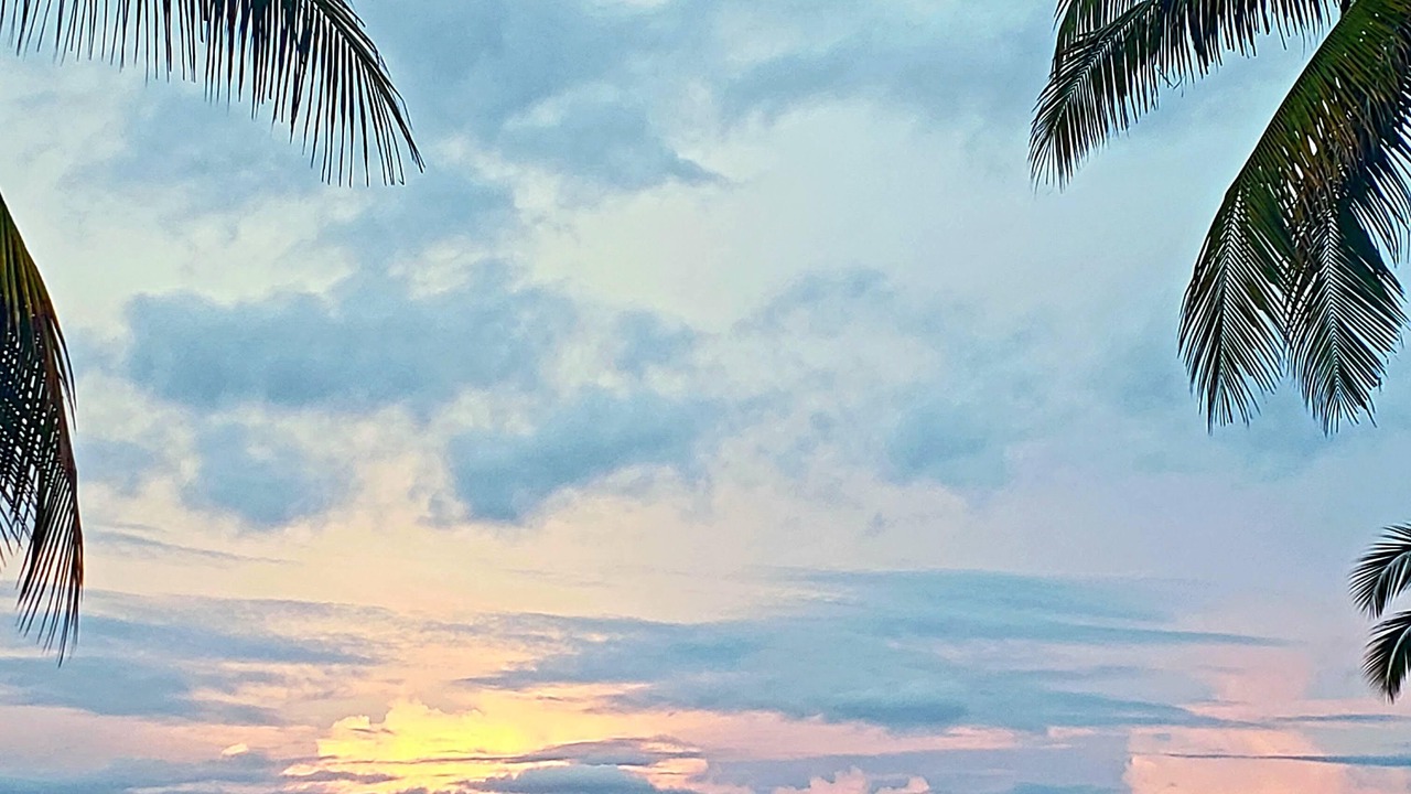 Photo of Outdoor in Manzanillo