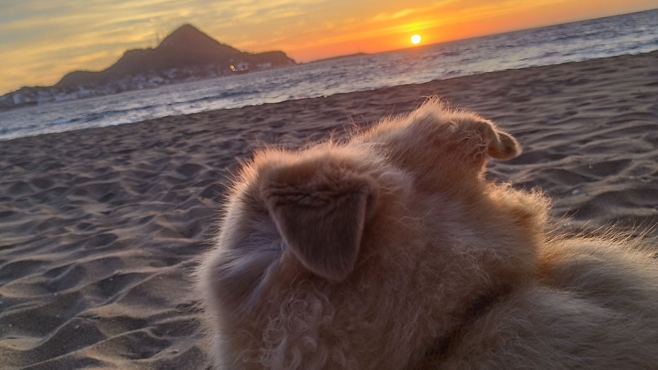 Photo of Others in Manzanillo