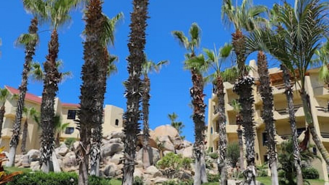 Photo of Outdoor in Cabo Bello