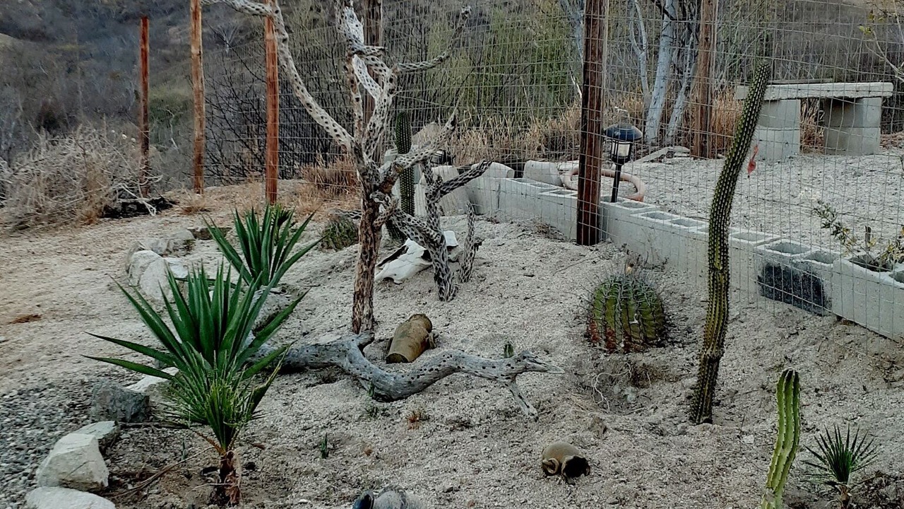 Photo of Outdoor in Palmilla