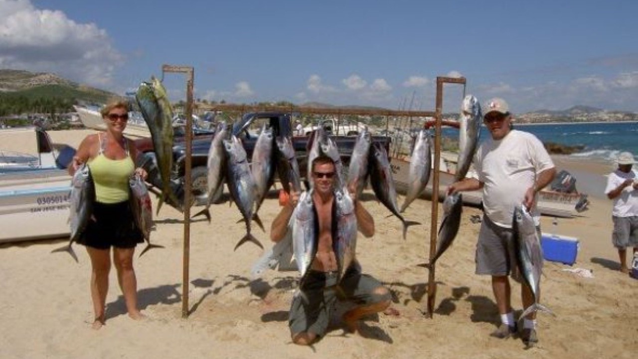 Photo of Others in Palmilla