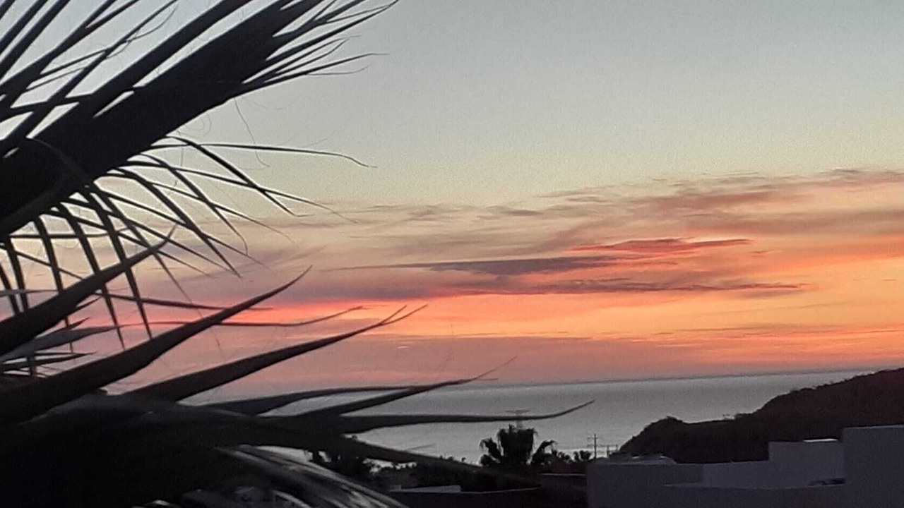 Photo of Others in Palmilla
