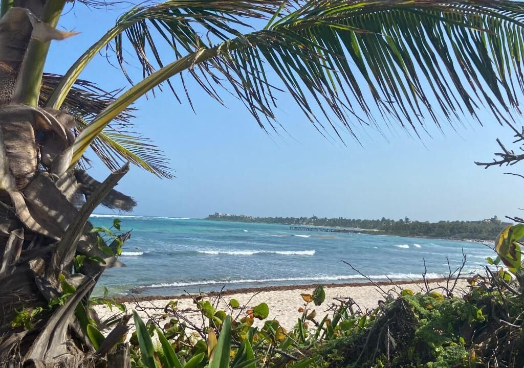 Photo of Others in Akumal