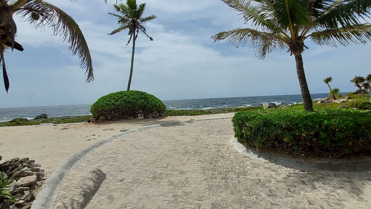 Photo of Others in Akumal