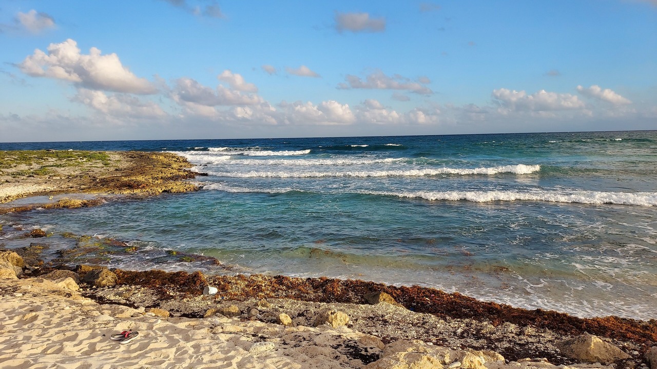Photo of Others in Akumal