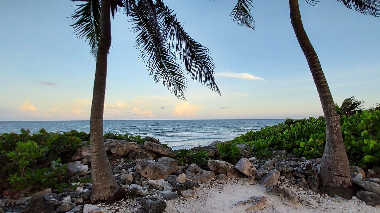 Photo of Others in Akumal