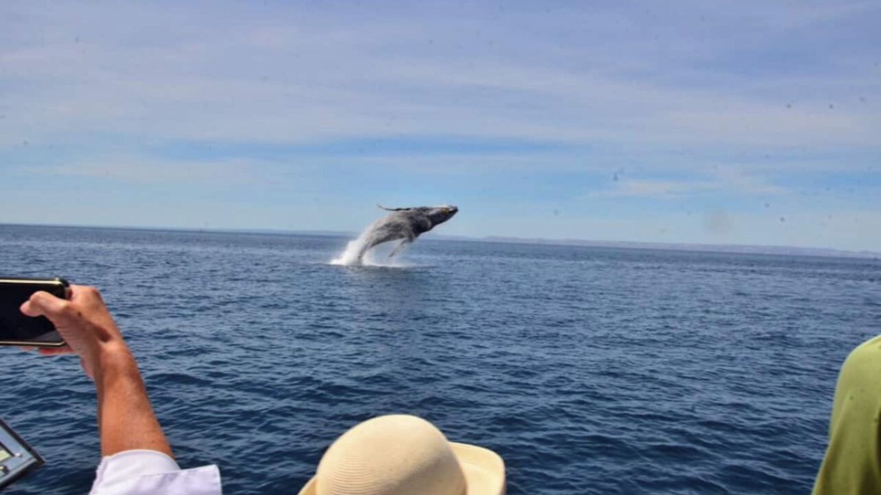 Photo of Outdoor in La Paz