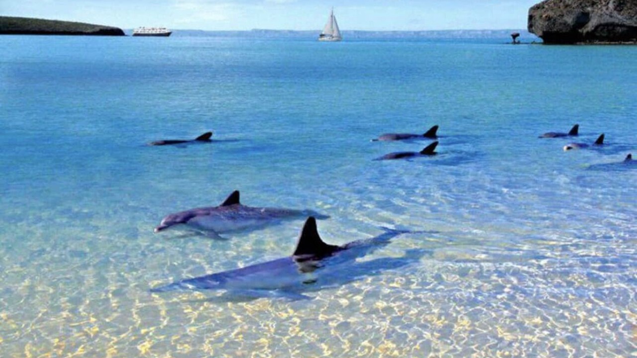 Photo of Others in La Paz