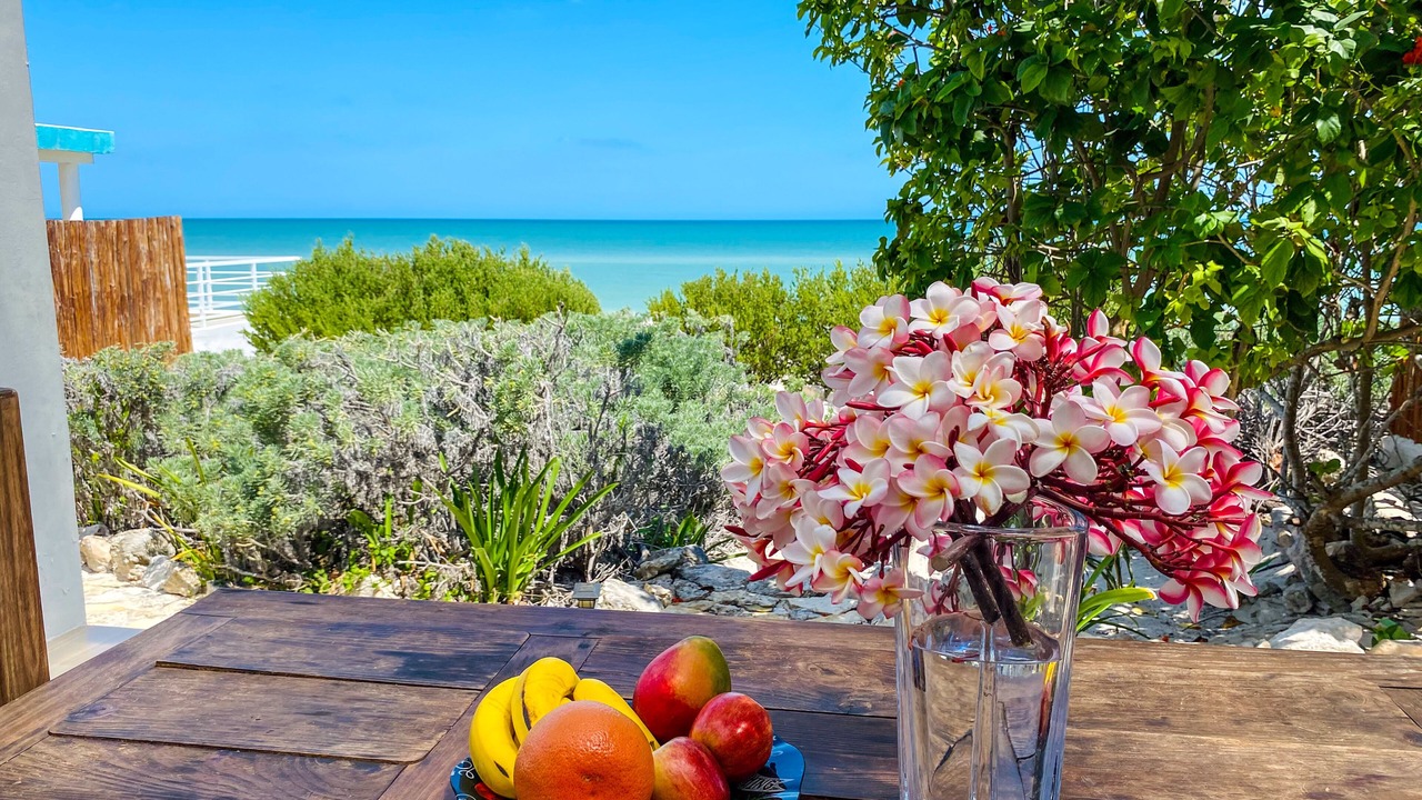 Photo of Outdoor in Chuburna Puerto