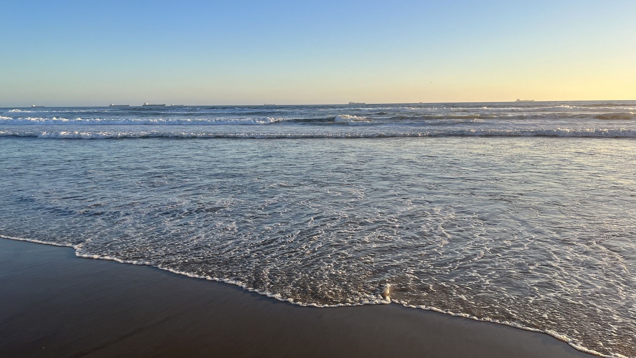 Photo of Others in Rosarito