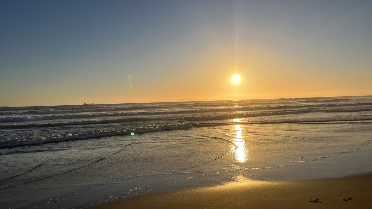 Photo of Others in Rosarito