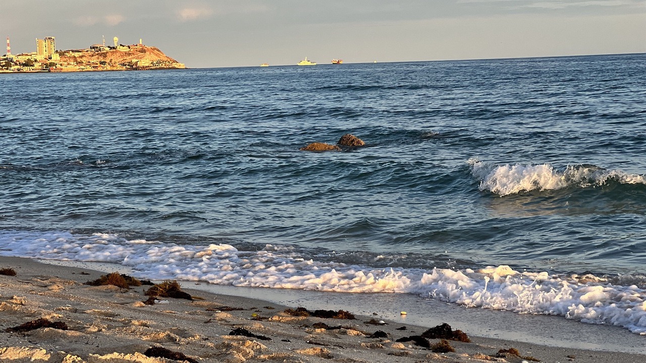 Photo of Others in Puerto Penasco