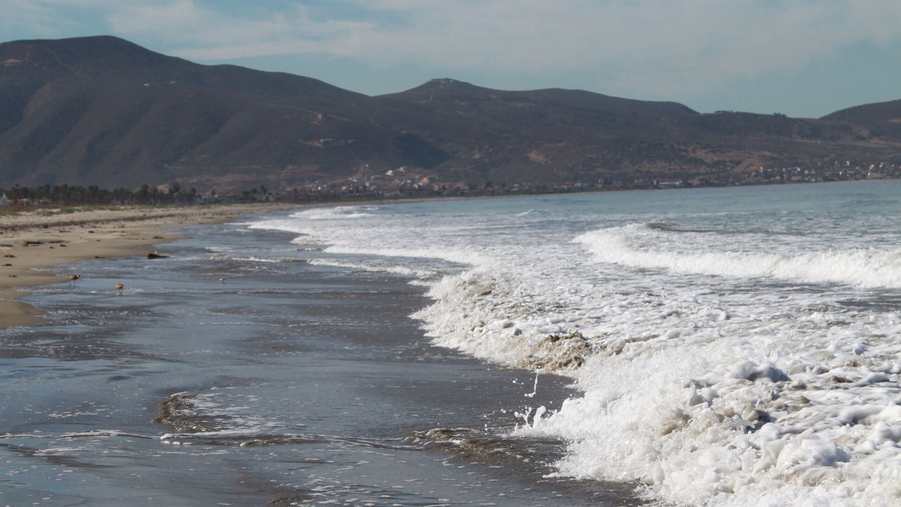 Photo of Others in Lengueta Arenosa