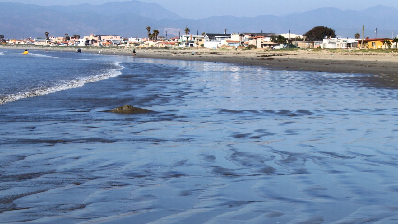 Photo of Others in Lengueta Arenosa