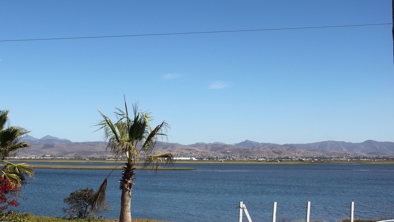 Photo of Others in Lengueta Arenosa