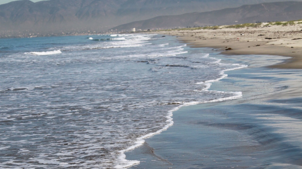 Photo of Others in Lengueta Arenosa