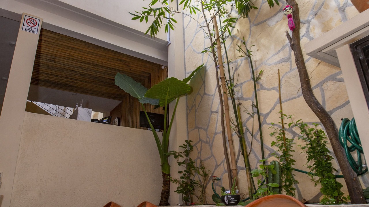 Photo of Outdoor in San Cristobal de las Casas