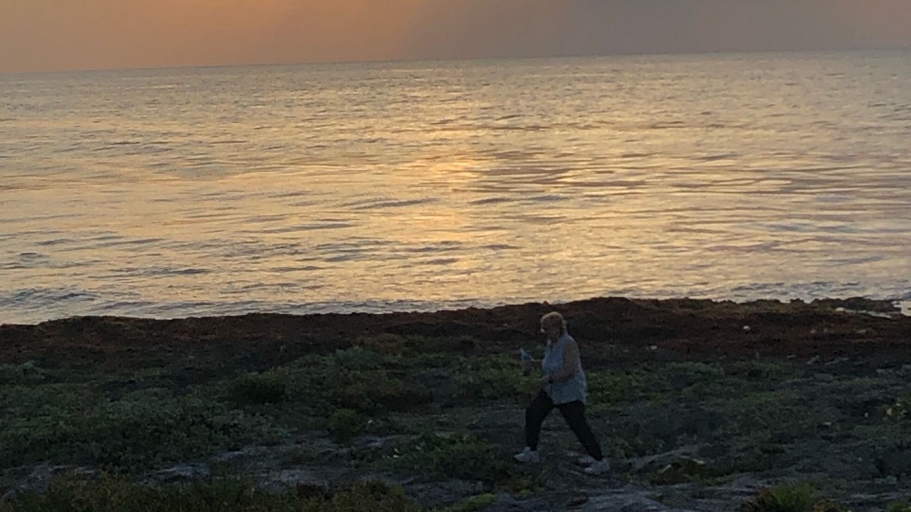 Photo of Others in Akumal