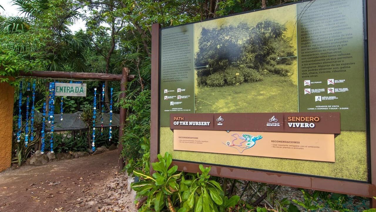 Photo of Outdoor in Akumal