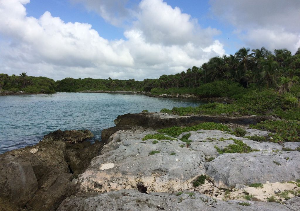 Photo of Others in Akumal