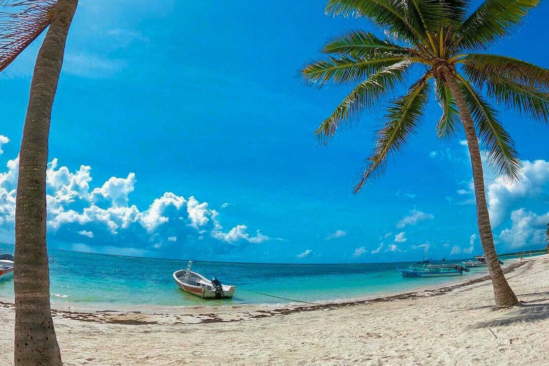 Photo of Others in Akumal