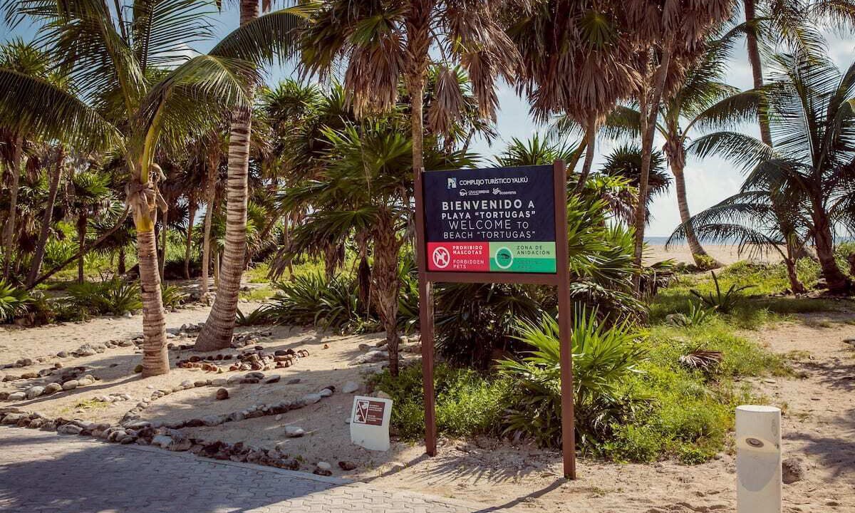 Photo of Others in Akumal