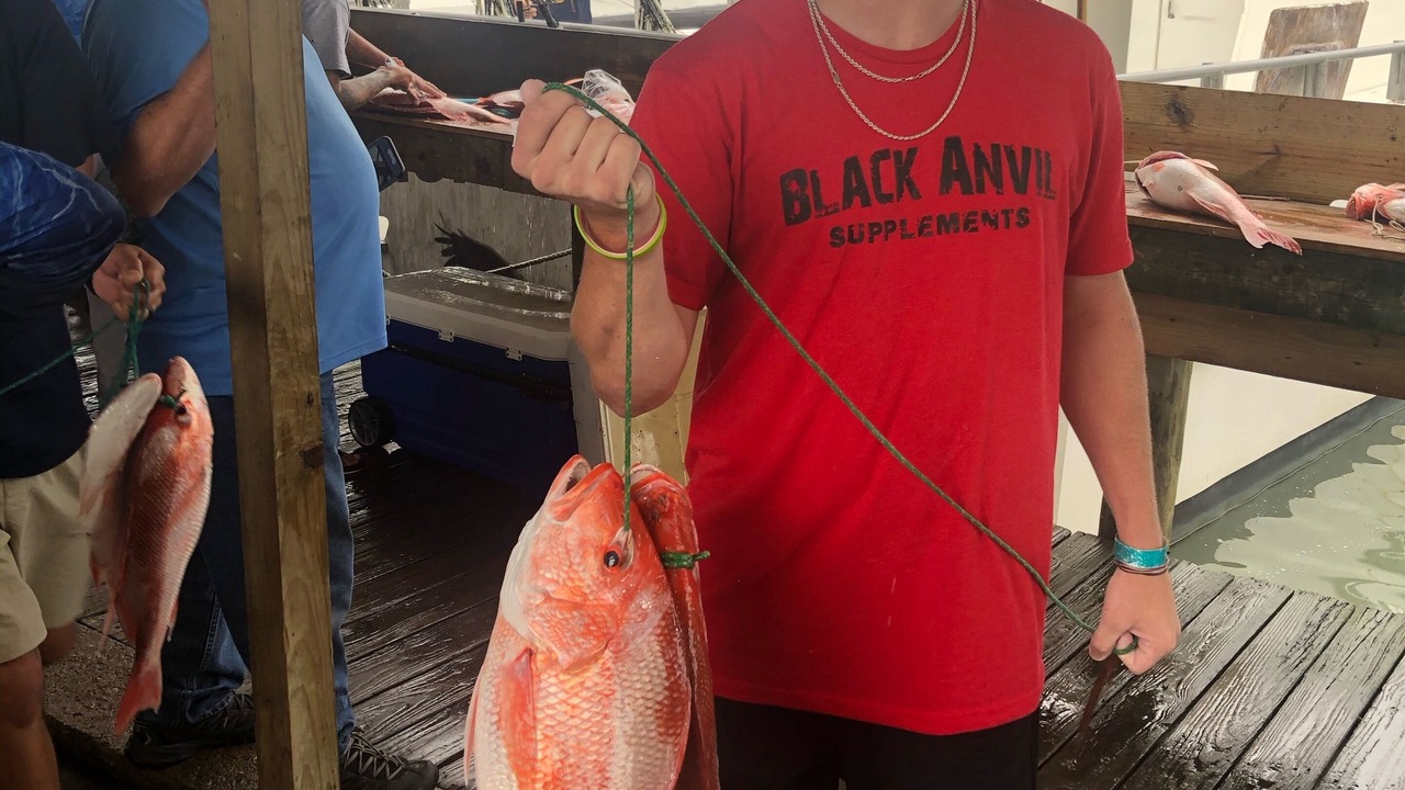 Photo of Others in Port Isabel