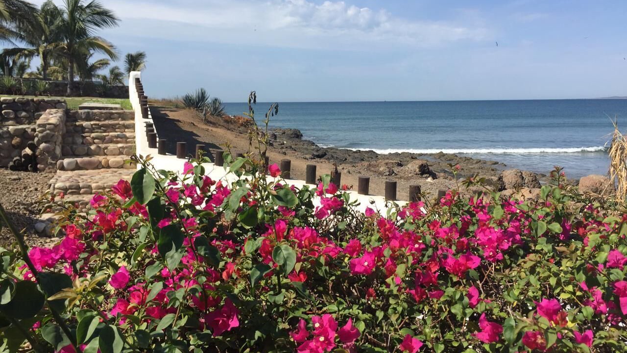 Photo of Outdoor in Punta Prieta