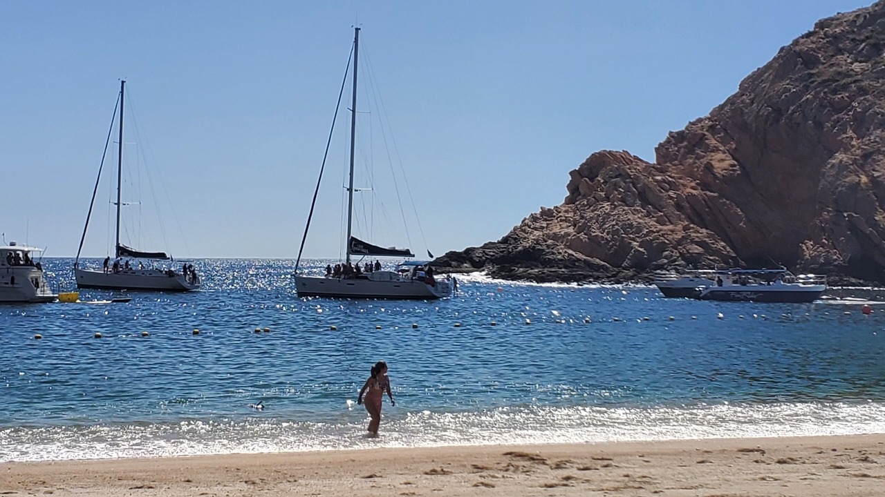 Photo of Others in Pedregal