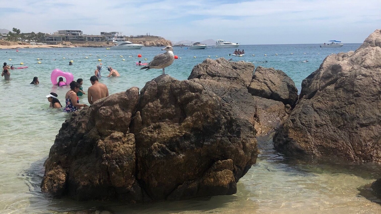 Photo of Others in Pedregal