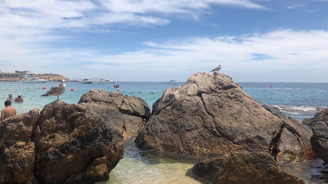 Photo of Others in Pedregal