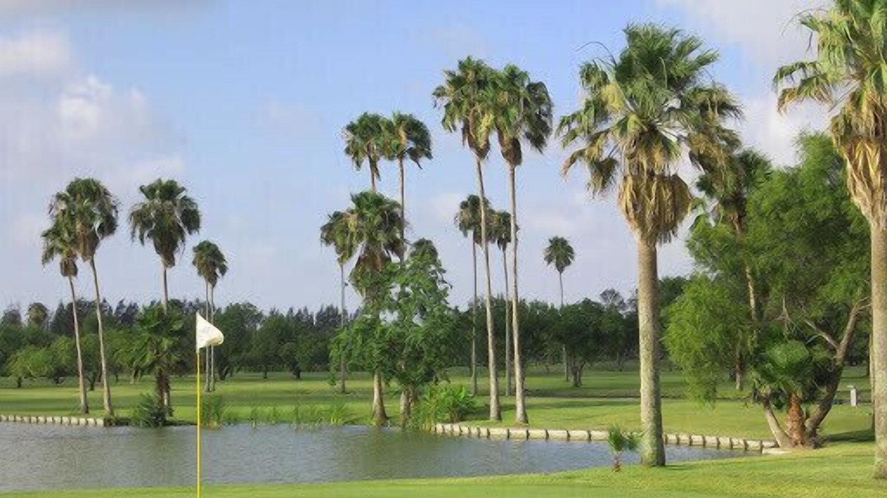 Photo of Others in Harlingen