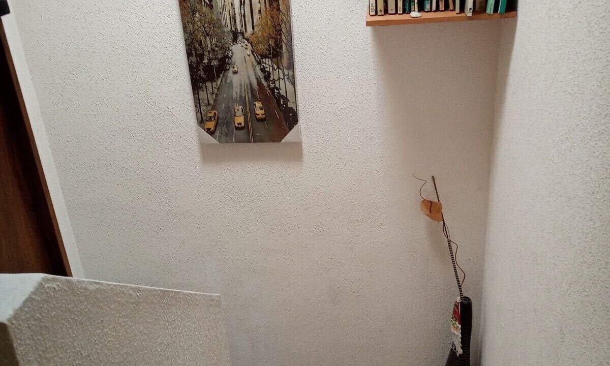 Photo of Others in Queretaro