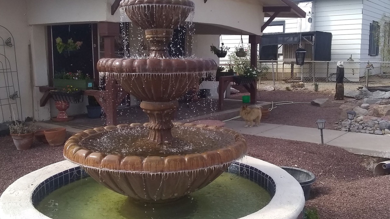 Photo of Outdoor in Ajo